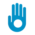 palm_security_ikon-1