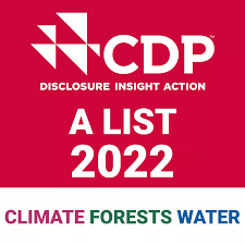 cdp 2022