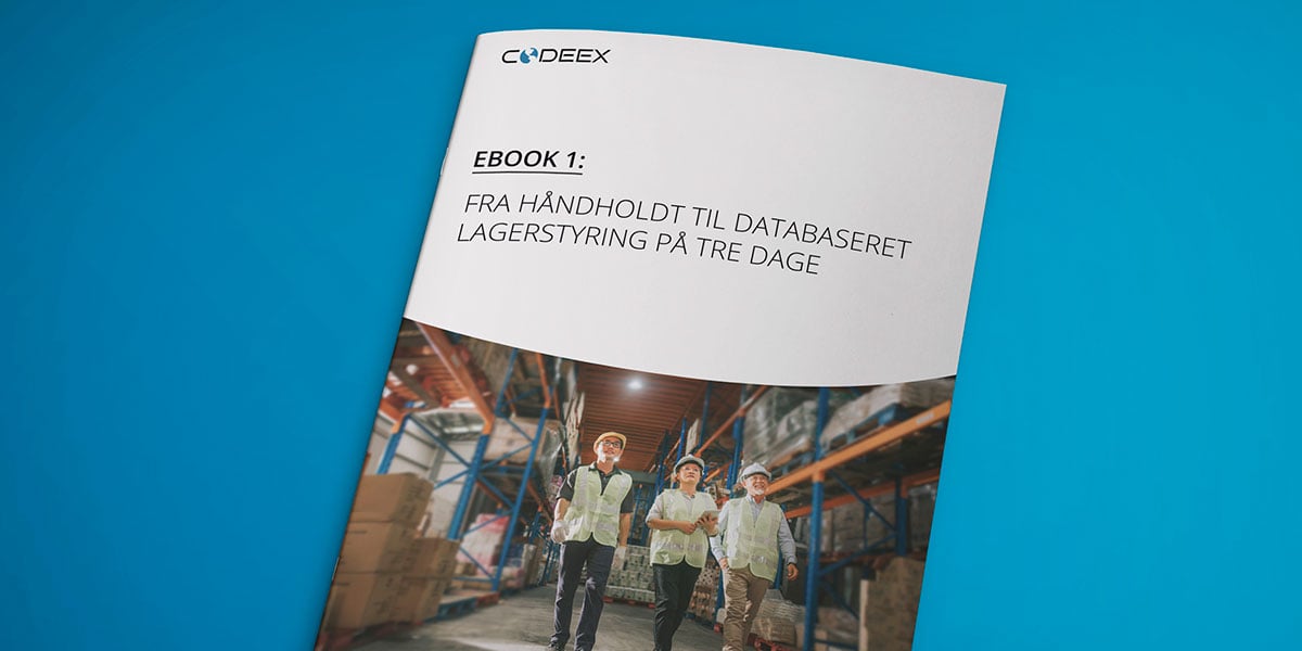 download-ebook-lager-logistik-01-bog1