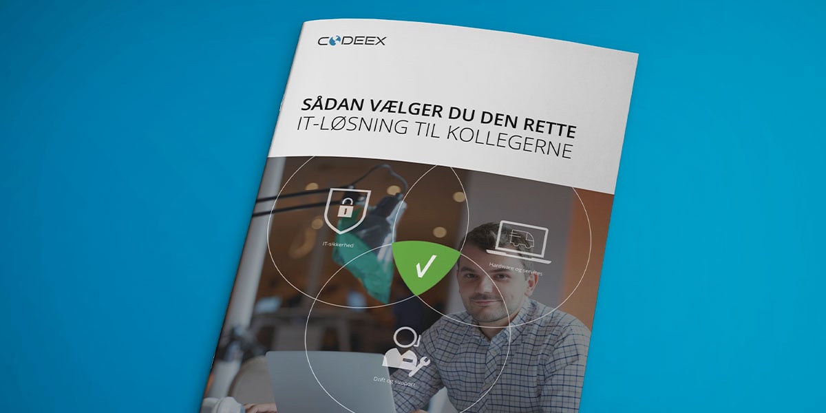 download-preview-saadan-vaelger-du-den-rette-it-loesning