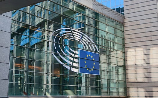 website-blog-article-eu-parliament