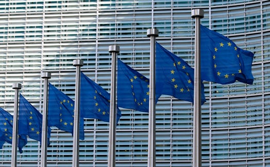 hvad er eu taksonomien, eu flag