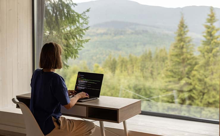 hjemmearbejde giver it-ansvarlige hovedpine, men vi har løsningen