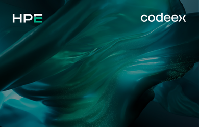 website-expert-event-HPE-Roundtable