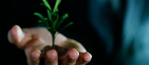 Lifetime Asset Management